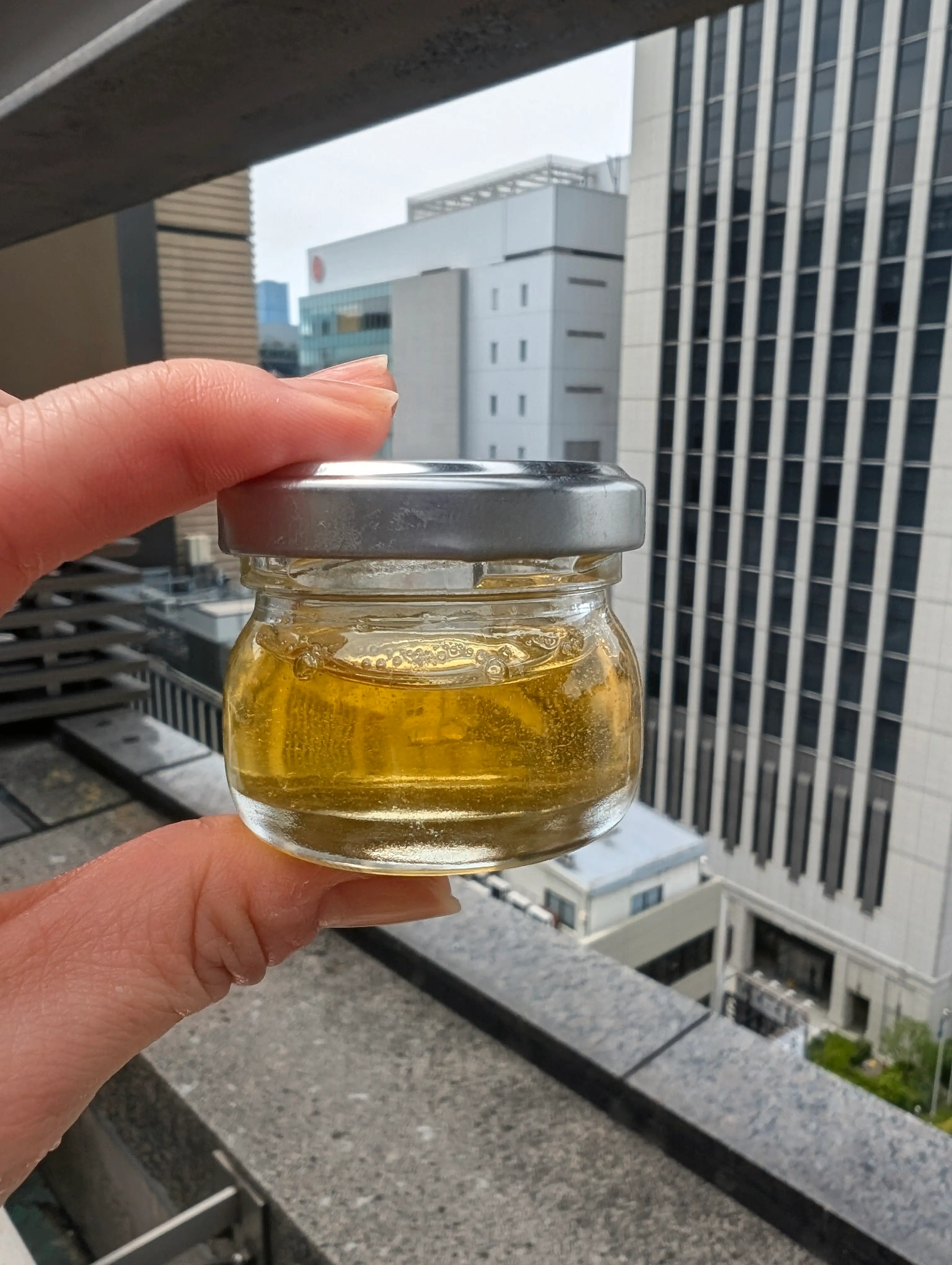 【銀座ミツバチプロジェクト】採蜜作業に参加してきました！