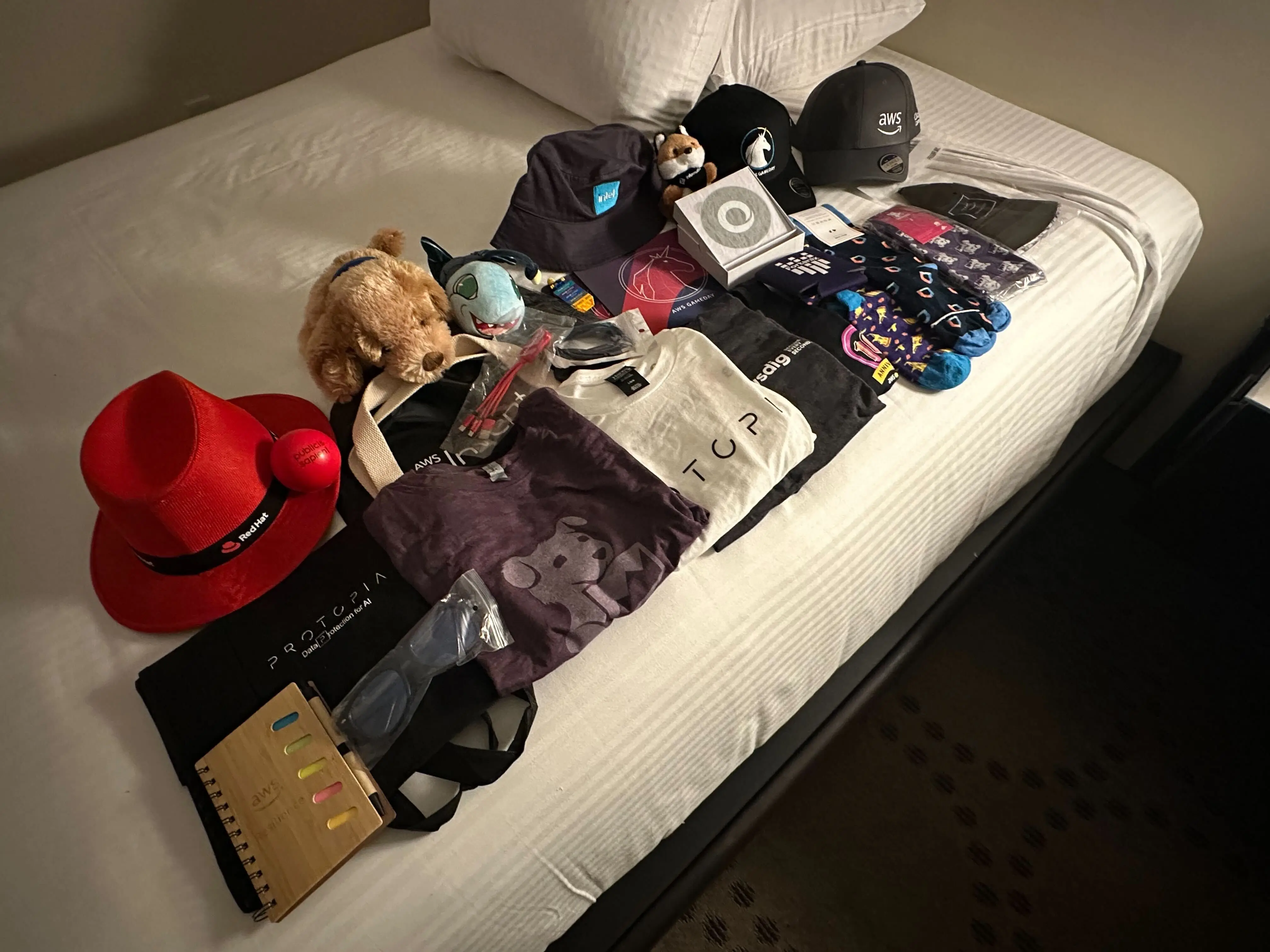 [re:Invent 2023 レポート]現地で貰ったSWAGと獲得方法