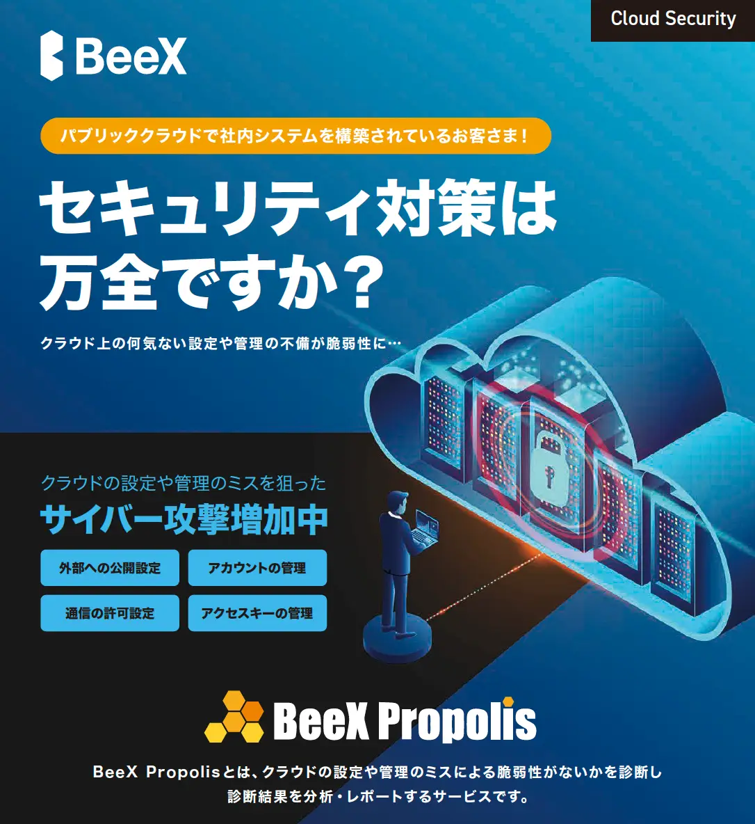 BeeX Propolis 紹介リーフレット