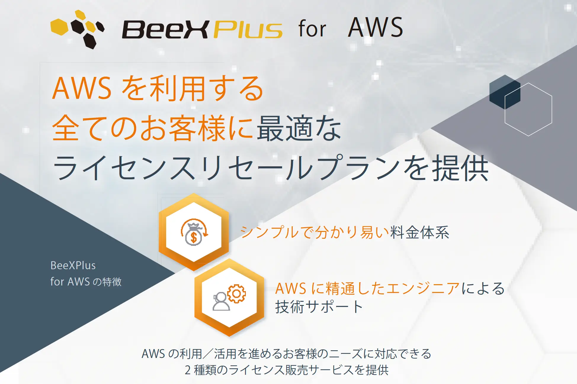 BeeXPlus for AWS 紹介リーフレット