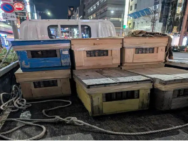 銀座ミツバチプロジェクト：ミツバチたちの引っ越しレポート