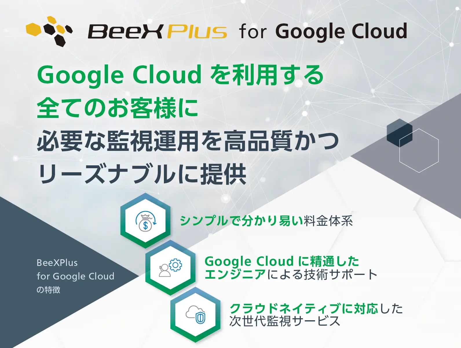 BeeXPlus for Google Cloud紹介リーフレット