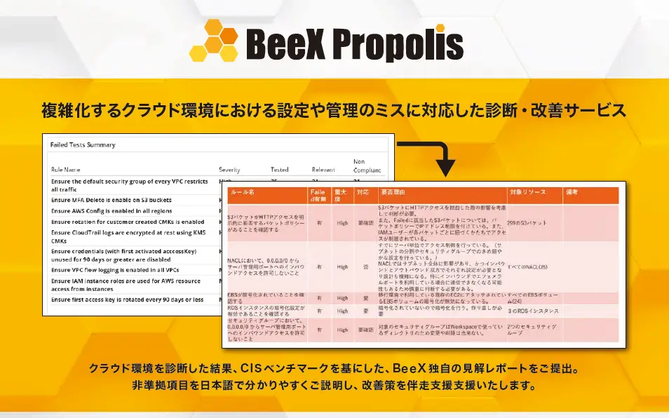 BeeX Propolis 紹介リーフレット