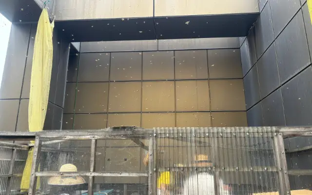 2026年最初の採蜜作業に参加してきました！【銀座ミツバチプロジェクト】