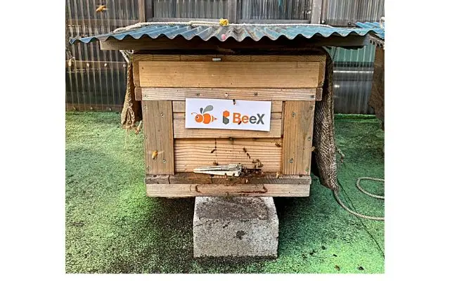 銀座で自然とつながる！初めての養蜂作業の記録